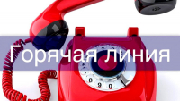 Перейти к новости