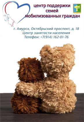 О социальной поддержке мобилизованных граждан и их семей в Амурском муниципальном районе