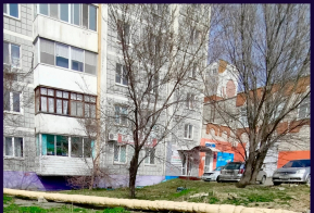 Проверка результатов рассмотрения обращений жителей Амурского района