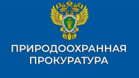 В Хабаровском крае природоохранной прокуратурой принято участие в городском экологическом фестивале