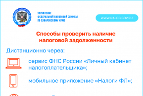 ФНС: Пять способов проверить наличие налоговой задолженности