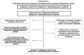 Структура Собрания депутатов Амурского муниципального района