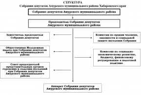 Собрание депутатов Амурского муниципального района